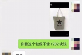 金口河为什么选择专业追讨公司来处理您的债务纠纷？